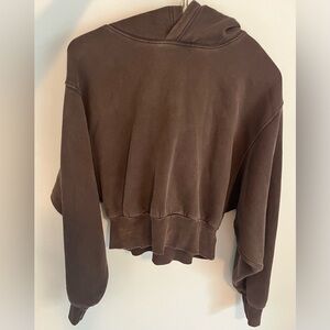 Aritzia Cropped Hoodie in Chocolate Brown